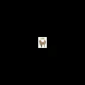 catdoge.xyz catdoge.xyz