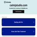 catmjstudio.com