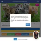cats-x.com cats-x.com