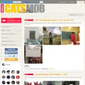 catsmob.com