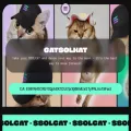 catsolhat.com catsolhat.com