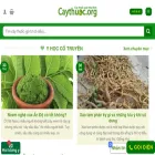 caythuoc.org caythuoc.org