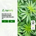 cbd-greentime.com