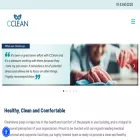cclean.it cclean.it