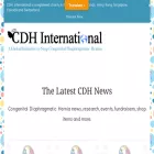 cdhi.org cdhi.org