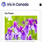 cdn-iris.ca cdn-iris.ca