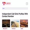cebto.com