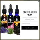 cedarbear.com cedarbear.com