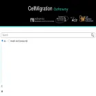 cellmigration.org