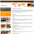 cepvi.com