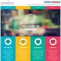 cerebra.co.za cerebra.co.za