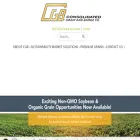 cgbgrain.com cgbgrain.com