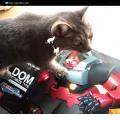 char-aznable.com char-aznable.com