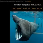 charleshood.com charleshood.com