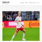 chasingacup.com