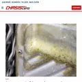 chasiscero.com chasiscero.com