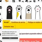 chatonblog.com chatonblog.com