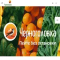 chernogolovka.com