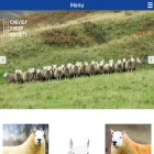 cheviotsheep.org cheviotsheep.org