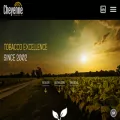 cheyenneintl.com