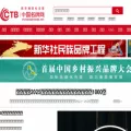 chinatopbrands.net