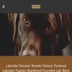chocolatelabradorretriever.ca chocolatelabradorretriever.ca