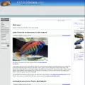 cichlid-forum.com