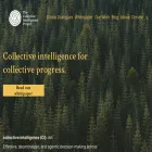 cip.org