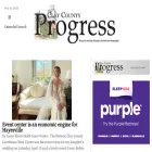 claycountyprogress.com
