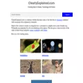 clearlyexplained.com clearlyexplained.com