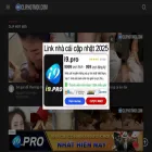 cliphotpro.net cliphotpro.net