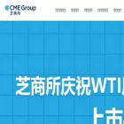 cmegroup.cn cmegroup.cn