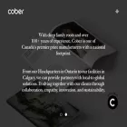 cobersolutions.com cobersolutions.com