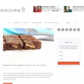 cocinacentral.net cocinacentral.net