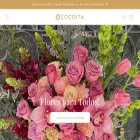 cocoita.com