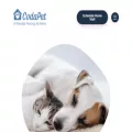 codapet.com codapet.com