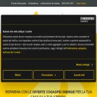 cogaspiu.it