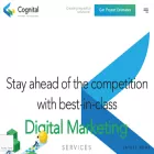 cognitalsolutions.com cognitalsolutions.com