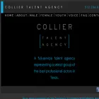 colliertalent.com colliertalent.com
