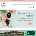 colourparadise.com