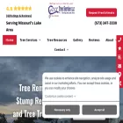 colttreeservice.com