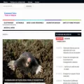commentfaire.net commentfaire.net