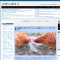 commonpost.info commonpost.info