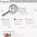 comned.com comned.com