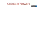 concealednetwork.com