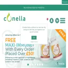 conellaholdings.com conellaholdings.com