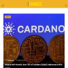 conisec.com