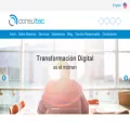 consultec-ti.com