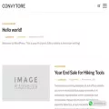 convytore.com.ng