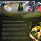 coraciiformestag.com coraciiformestag.com